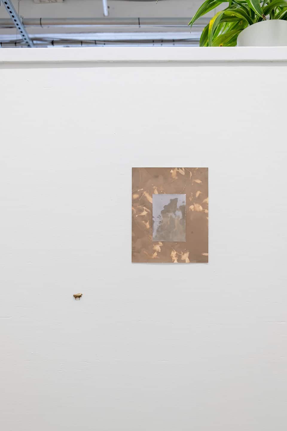 Solarity at NAMARA projects